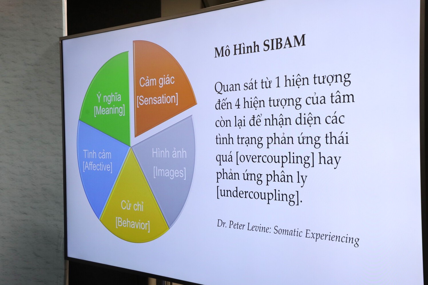 Tiến sĩ Lê Nguyên Phương giải thích mô hình SIBAM áp dụng vào luyện tập lối sống tỉnh thức